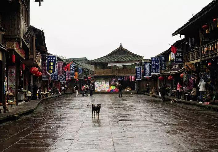 2024第十四届河北省年货购物节沧州会场启动仪式成功举办